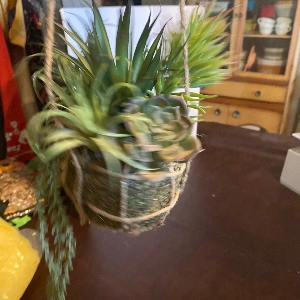Hanging faux succulents